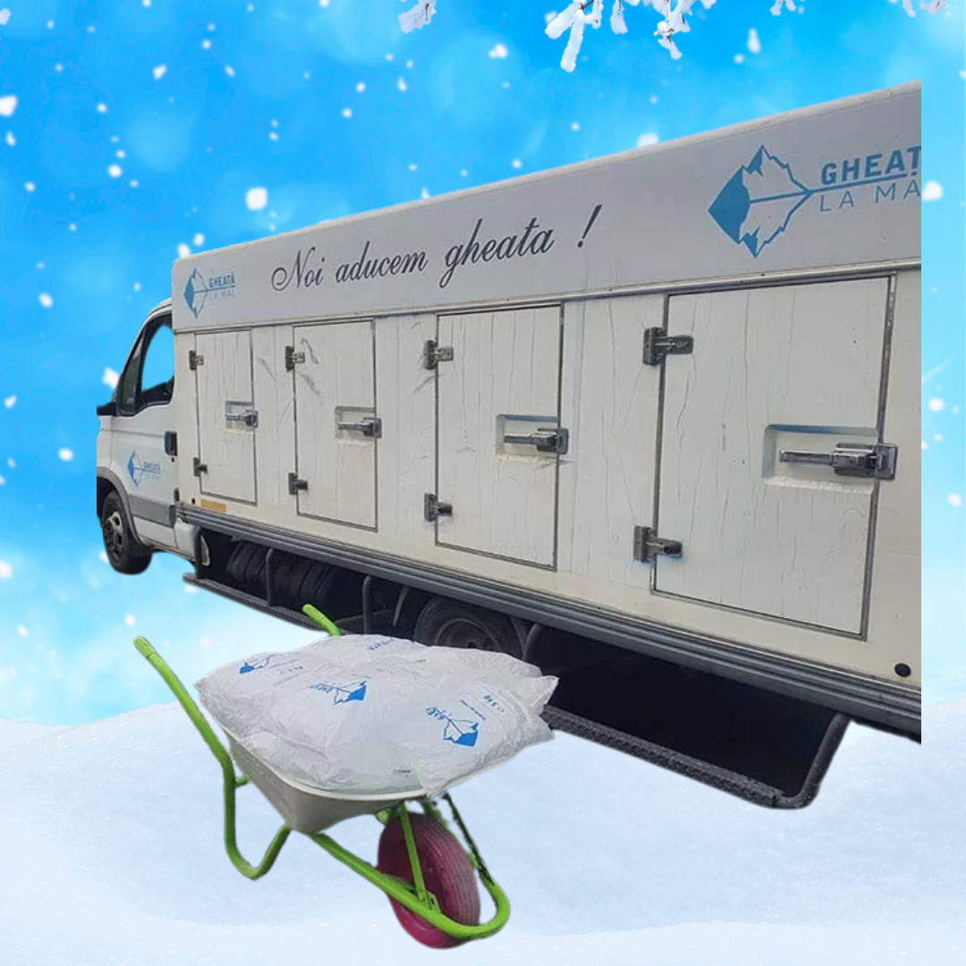 noi aducem gheata 2